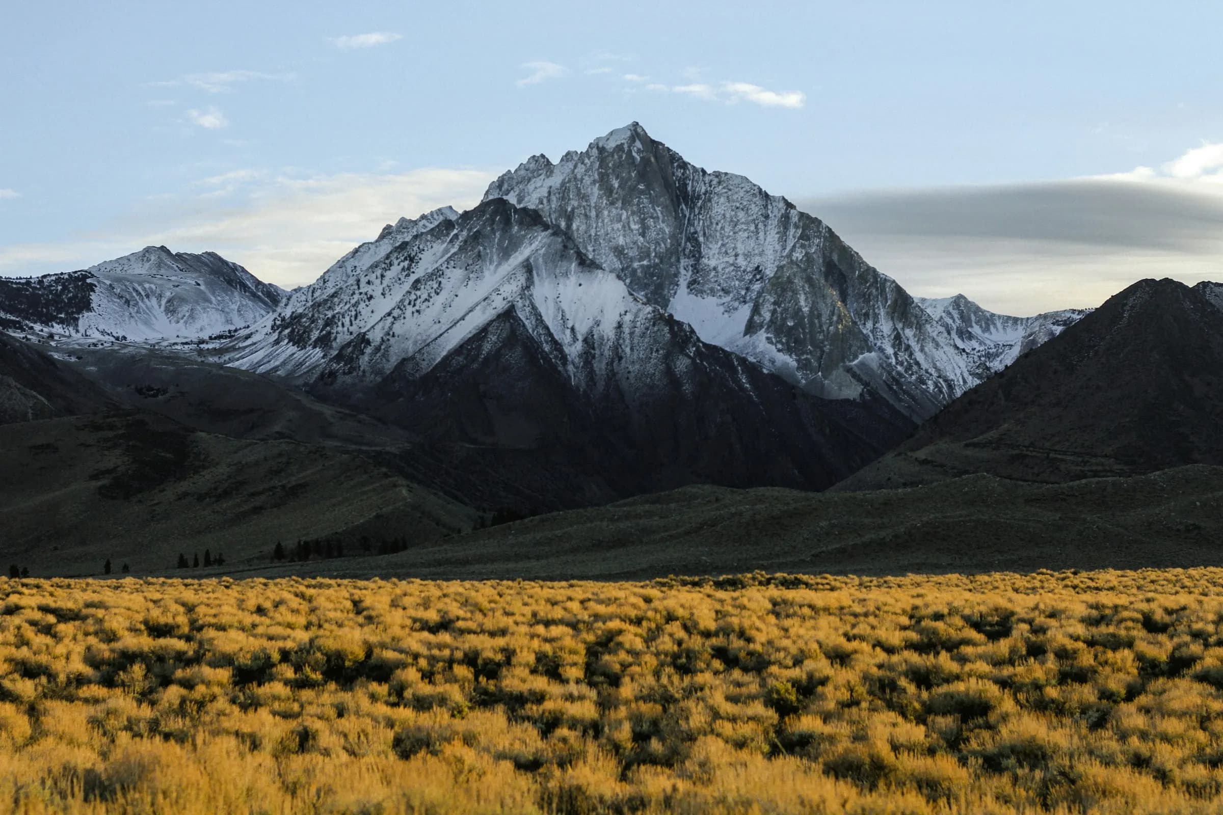 Snow-capped peaks of the Sierra Nevada range above a golden brush-covered valley